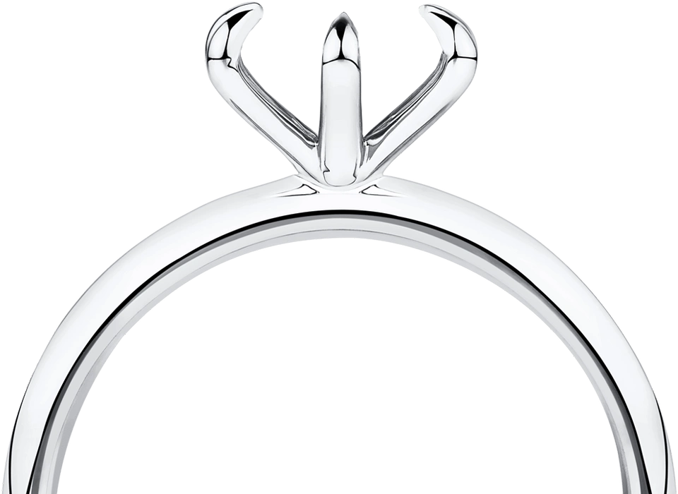 ring-setting